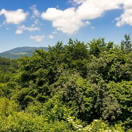 Kreuzwirt Am Rosenberg *